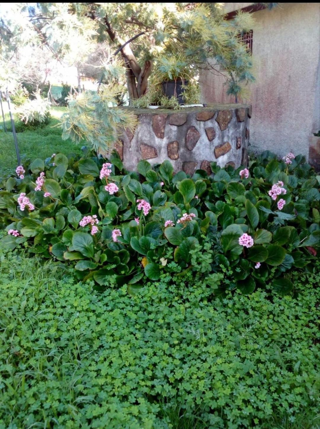 Villa Casa Tina A Guarda Esterno foto